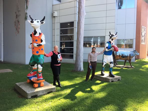 Hussam Saraf and another participant standing beside colourful cow sculptures in Shepparton.