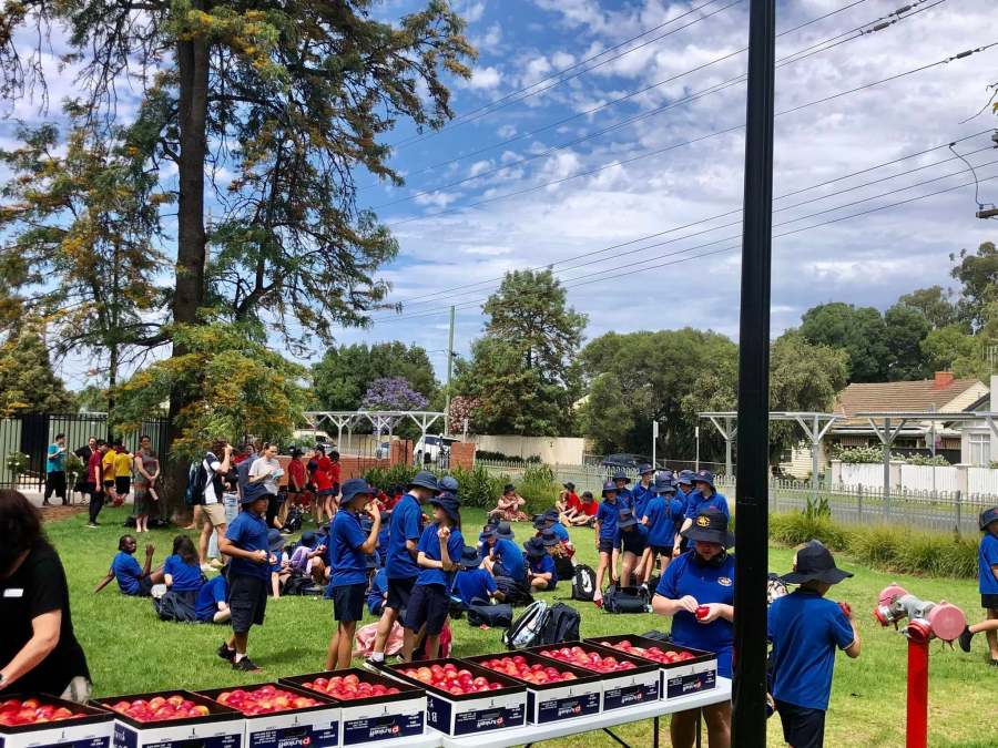 Visiting Year 5 students gathered on the GSSC lawn beside tables of apples.