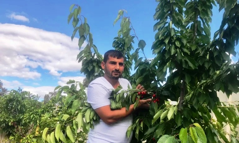 Hussam Saraf beside a fruit tree in the photograph published by Al Sharq.