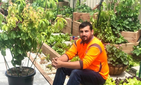 Hussam Saraf beside his multi-grafted fruit tree.