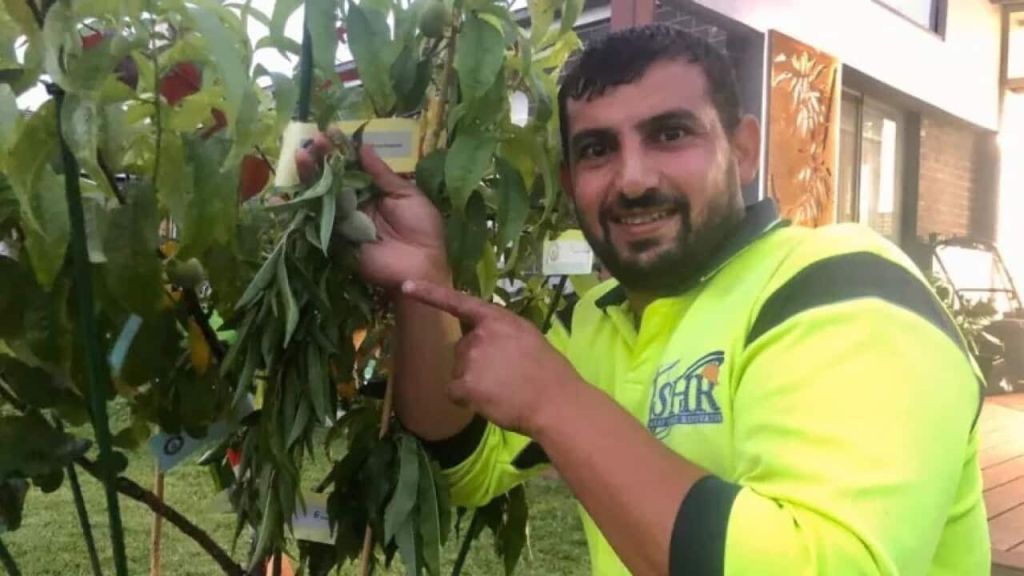 Hussam Saraf holding branches of his fruit tree.